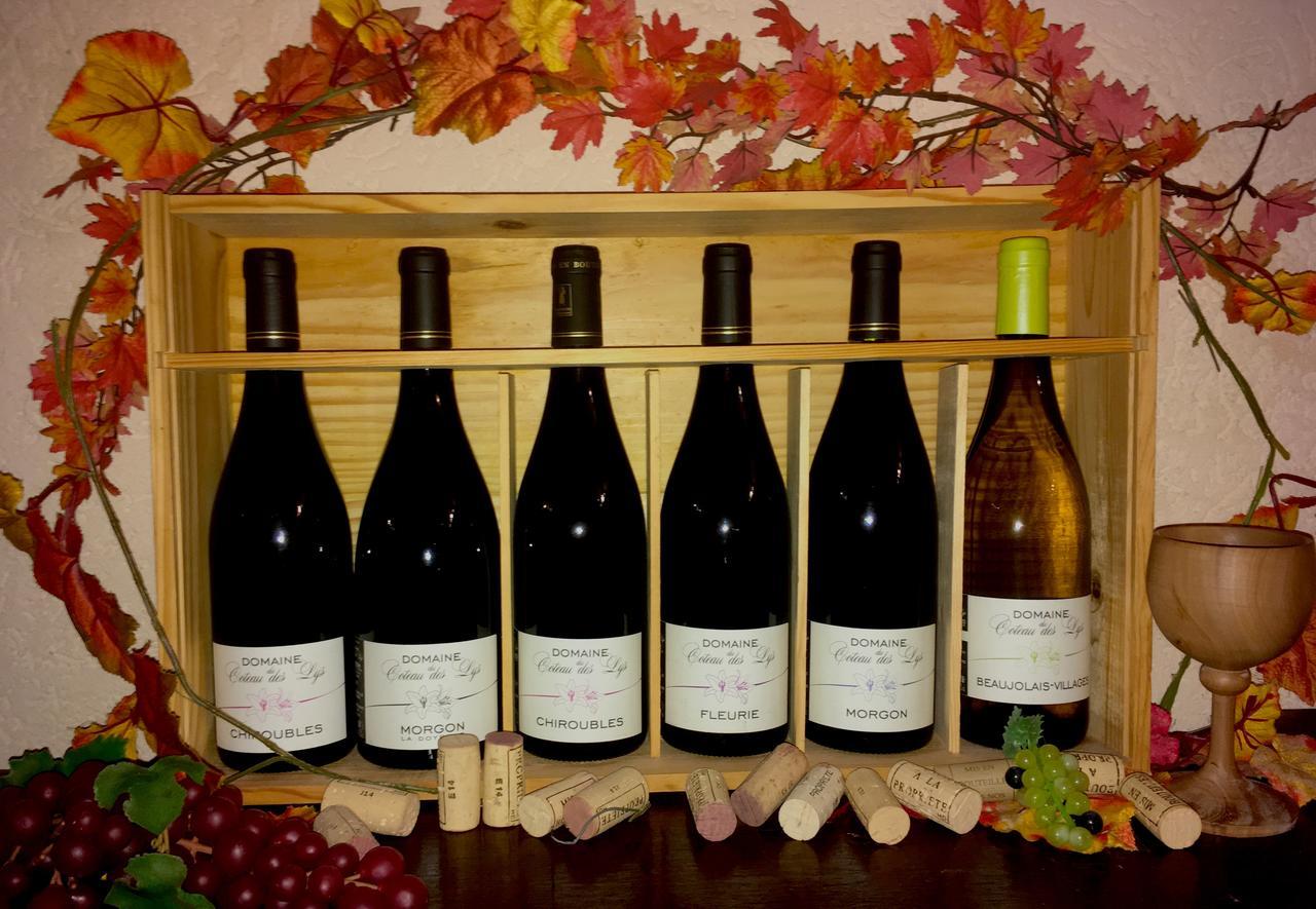 Domaine Du Coteau Des Lys Hotell Fleurie Eksteriør bilde