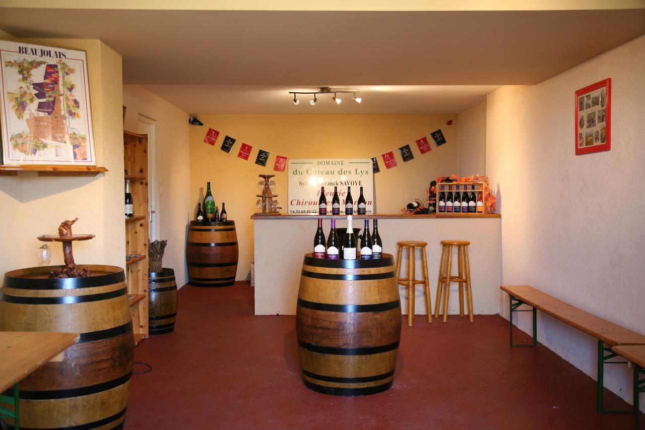 Domaine Du Coteau Des Lys Hotell Fleurie Eksteriør bilde