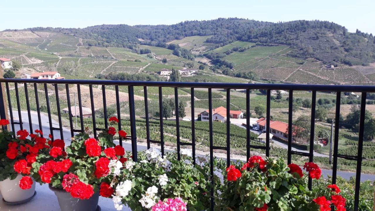 Domaine Du Coteau Des Lys Hotell Fleurie Eksteriør bilde